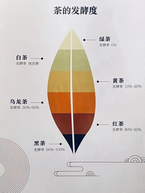 Fermentation levels of the six major tea categories.jpg