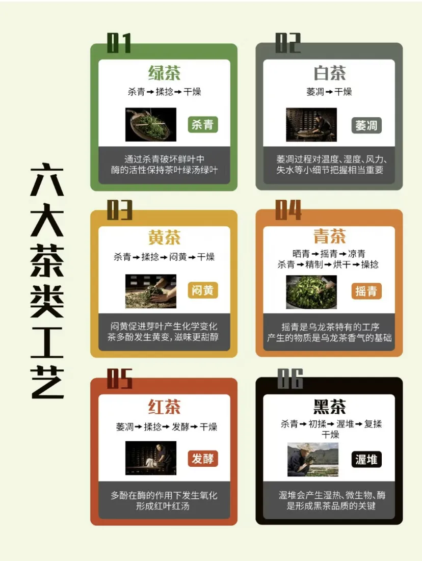 Why is Chinese tea divided into six categories.webp