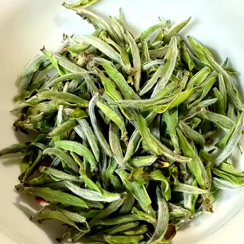 which-tea-is-non-fermented.webp